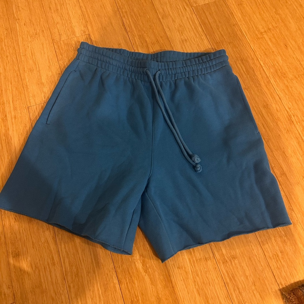 Blue Aritzia sweat shorts